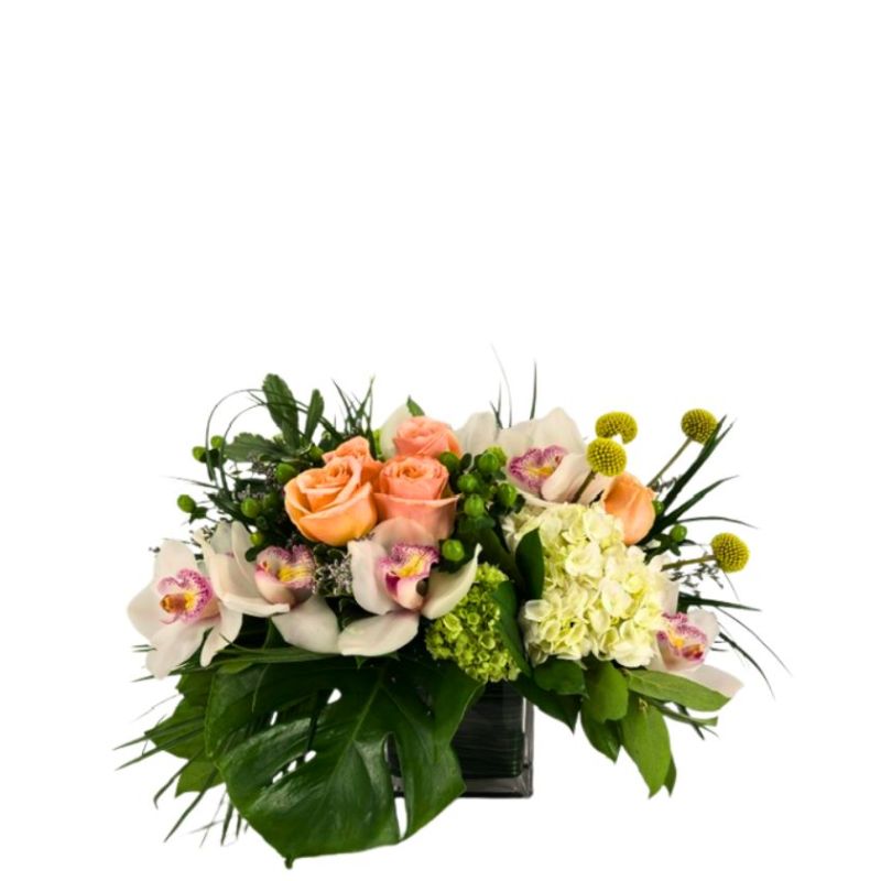 Botanical Beauty Arrangement