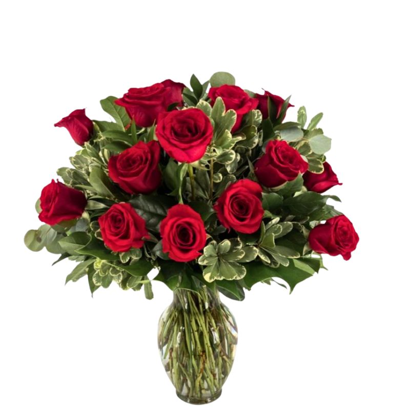 Red Roses